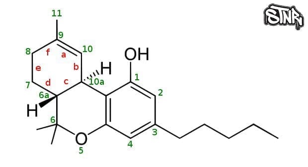 STNR Creations Delta 8 Molecule