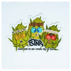 STNR Stickers
