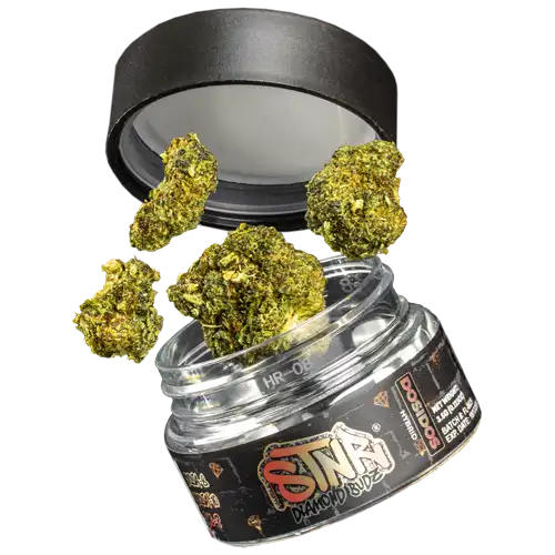 STNR_DiamondBudz_FloatImage-1.webp