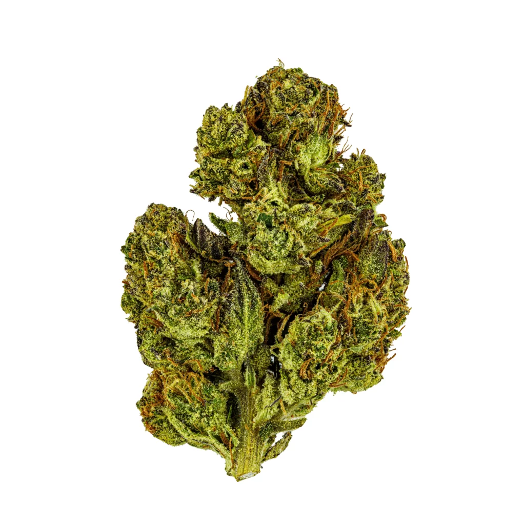 supersonic thca bud stacked-white-web