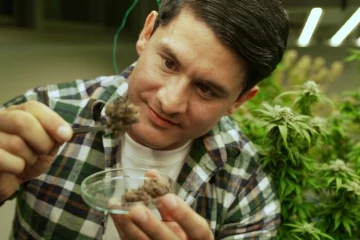 Comparing PureOhms 7-Hydroxy Kratom Tabs to Regular Kratom Tabs: Key Differences Explained
