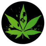 STNR Creations THC-A