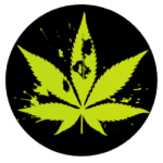 STNR Creations THC-P