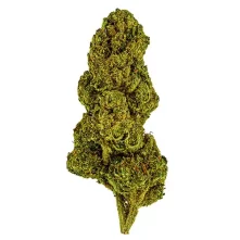 strawberry cough thca bud stacked-white-web